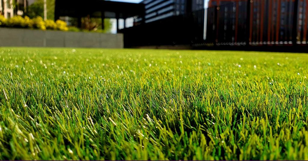 Shallow depth of field photo with blades of grass in the foreground and a building with awning in the background.