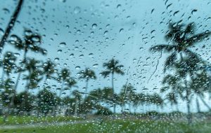 Photograph from inside of a car looking out over a field of palm trees. The dashboard is covered with rain drops and the view out the window is out of focus while the droplets on the dashboard are in focus.