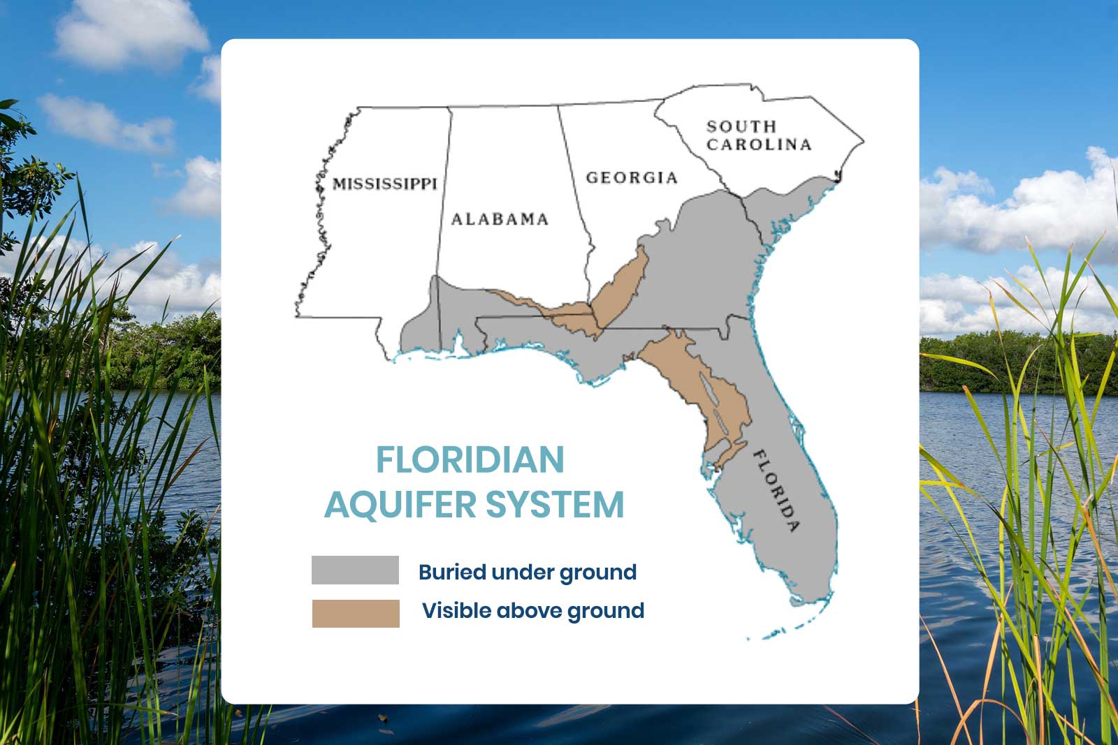 Chart with a background photo from the Florida everglades. On top is a white chart showing the states Florida, South Carolina, Georgia, Alabama, and Mississippi. All of Florida and the lower portions of Alabama, Georgia, and South Carolina are covered in a gray color that indicates by they key "buried underground aquifer." There are a few light brown spots in Florida, Alabama, and Georgia that indicate above ground aquifer.