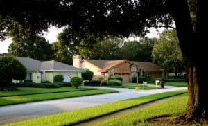 Photo of a street on a residential district in Florida, early in the morning – two houses are in the background and a tree is in the foreground.