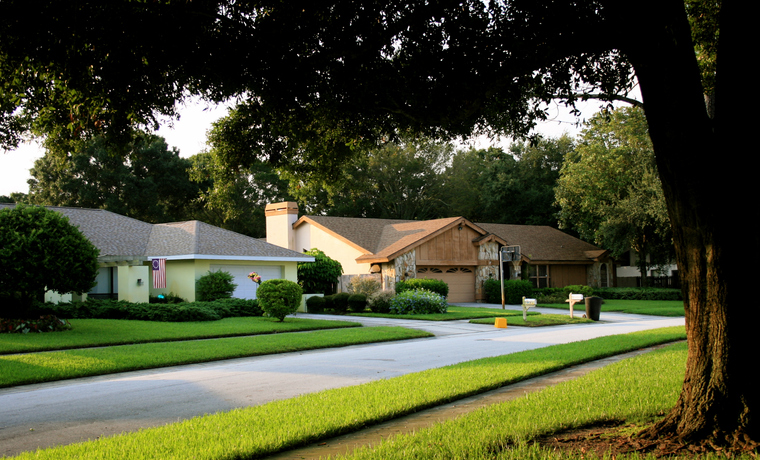 Photo of a street on a residential district in Florida, early in the morning – two houses are in the background and a tree is in the foreground.