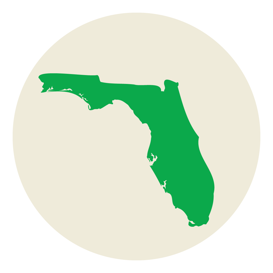 Icon showing map of Florida